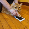 Inkless Paw Print Kit – Pet Keepsake for Dogs & Cats