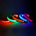 Everyday LED Safety Collar
