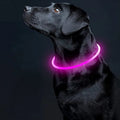 Glow-in-the-Dark LED Collar