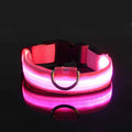 Everyday LED Safety Collar