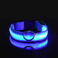 Everyday LED Safety Collar
