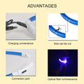 Glow-in-the-Dark LED Collar