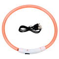 Glow-in-the-Dark LED Collar