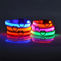 Everyday LED Safety Collar
