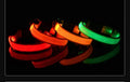 Everyday LED Safety Collar