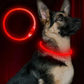 Glow-in-the-Dark LED Collar