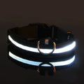 Everyday LED Safety Collar