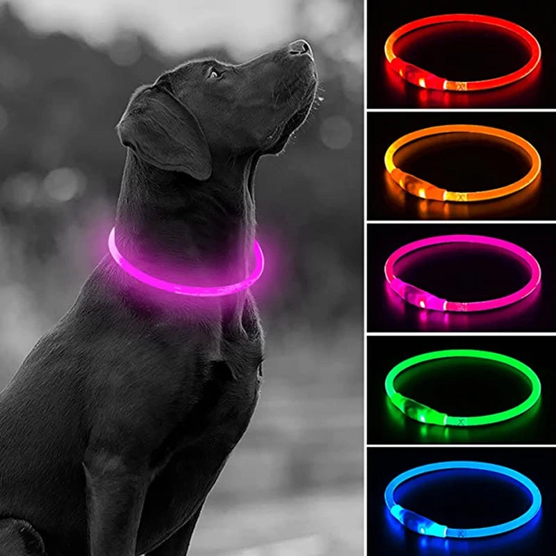 Glow-in-the-Dark LED Collar