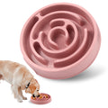 Anti-Gulping Slow Feeder Bowl