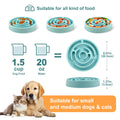 Anti-Gulping Slow Feeder Bowl