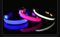 Everyday LED Safety Collar