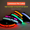 Everyday LED Safety Collar
