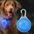 Night Walk Safety Light