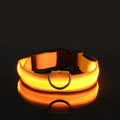 Everyday LED Safety Collar