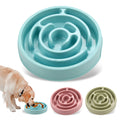 Anti-Gulping Slow Feeder Bowl