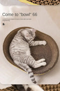 2-in-1 Scratch & Lounge Bed