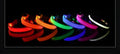 Everyday LED Safety Collar