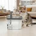 Pet Water Fountain with Filter