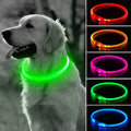 Glow-in-the-Dark LED Collar