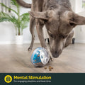 Boredom Buster Treat Ball