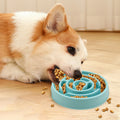 Anti-Gulping Slow Feeder Bowl