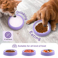 Anti-Gulping Slow Feeder Bowl