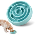 Anti-Gulping Slow Feeder Bowl