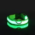 Everyday LED Safety Collar