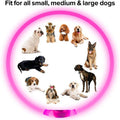 Glow-in-the-Dark LED Collar