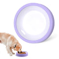 Anti-Gulping Slow Feeder Bowl