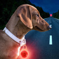 Night Walk Safety Light